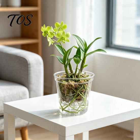 High Transparency Pet Material Planter Clear Orchid Pot with Drainage Holes, Plastic Phalaenopsis Planter, Root Large Size Nursery Pots for
