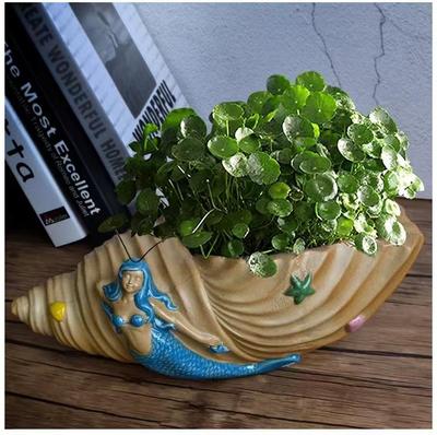 Large Unglazed Breathable Ceramic Succulent Pot for Asparagus Fern & Coin Grass - Creative Coarse Pottery Design