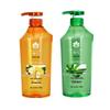 Bee & Flower Ginger & Aloe Vera Hair Care Shampoo