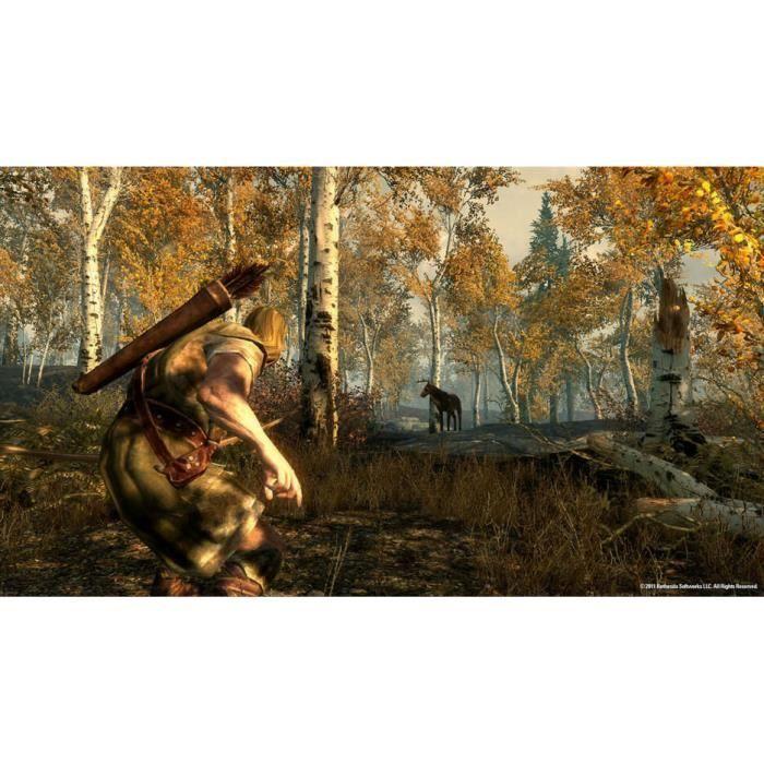 Jeu Vidéo - BETHESDA - Skyrim Anniversary Edition - Monde Ouvert - Quêtes Épiques - Dragons