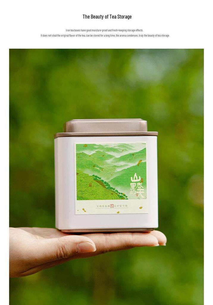 Eco-Friendly Green Tea Gift Box with Longjing, White Tea, Biluochun, Maojian, Cup & Iron