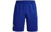 Shorts Men's Royal Blue 1362002-400