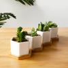 Hexagonal Planter With Tray Ceramic Planter