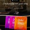 Set di 6 Corde Corde per Chitarra Acustica Esagonale Zinco Lega di Zinco Corda per Chitarra Chitarra Acustica