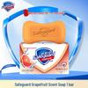 Sabonete em Barra Safeguard