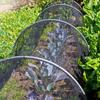 4/6/10m Black Garden Insect Net Reusable Anti Bird Raised Garden Bed Cover Breathable Adjustable Plant Support Netting