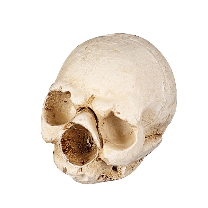 Halloweenská lebka Dekorace Miniaturní pryskyřičná figurka Pro párty a jako dárek
