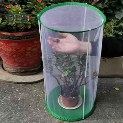 Mini skleník pro motýlí stanoviště pro vnitřní venkovní pozorování Pevná opakovaně použitelná klec ve tvaru válce s viditelnou síťovinou