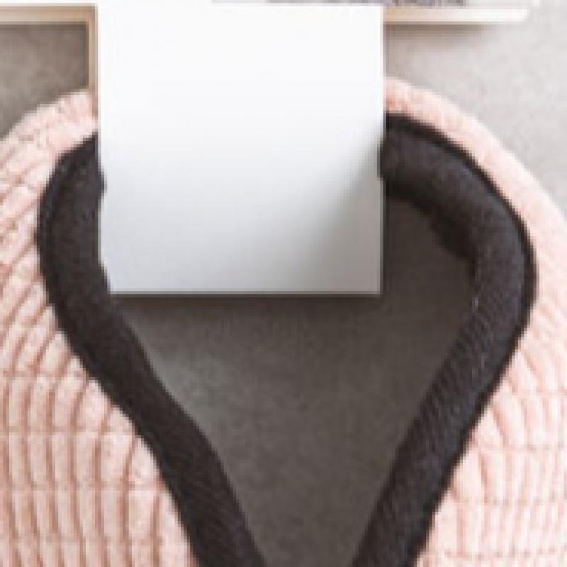 Daiso Solid Color Golden Earmuffs Pink