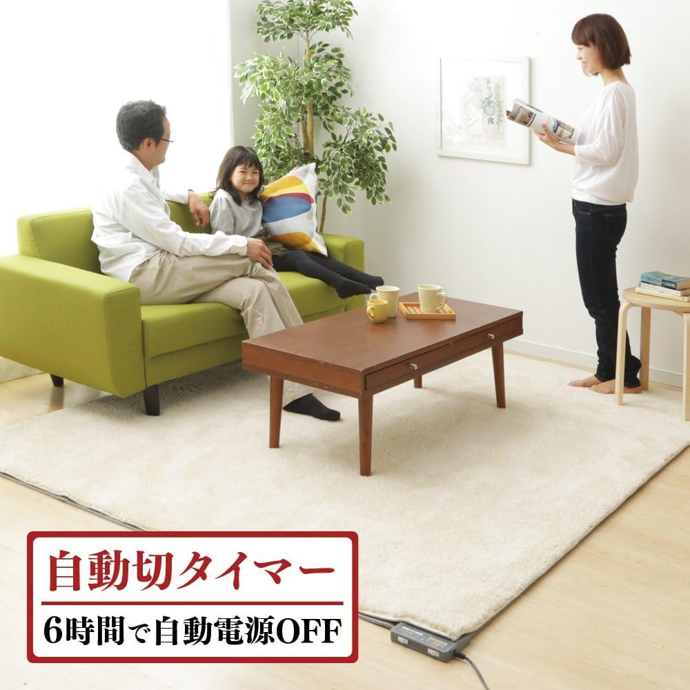 Iris Ohyama Electric 5 Temperature Automatic Electric Electric Heating Dust Mite Compatible with Gray Carpet, 2-Tatami Size, 176x176cm, Settings,