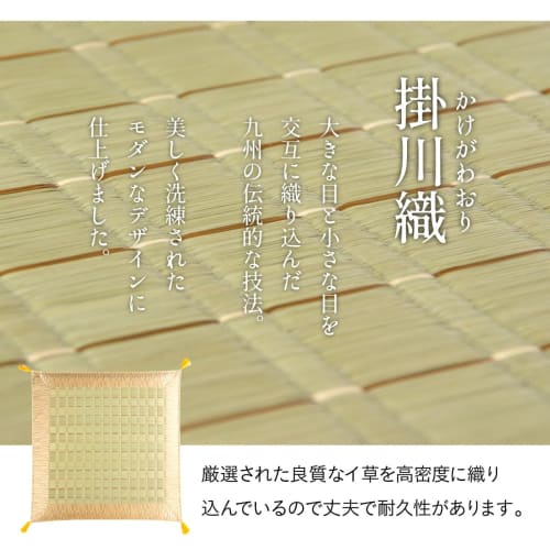 IKEHIKO Igusa Gozen Zabuton (Japanese-style Floor Cushion), Ancient Style, Approx. 70 x 70cm, Made in Japan #3101909