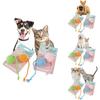 Pet Cotton Rope Toy With Colorful Tail Ball For Cats And Dental Chewing