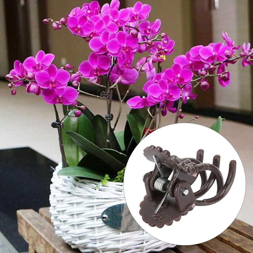 200Pcs Flower Shaped Plant Clip Orchid Stems Fixing Support Clips Garden Tool Accessories