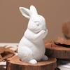 Cute Rabbit Silicone Ornament Mold 3D Easter Rabbit Scented Candle Gypsum Concrete Sitting Standing Looking Up Rabbit Craft Mold