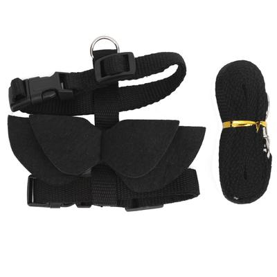 Perros – Collares y correas