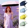 Portable One-Touch Open Kids Umbrella Windproof Waterproof Fully Automatic Umbrella Lightweight UV Protection Automatic Umbrella