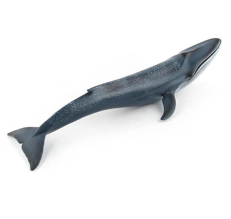 [Nekogamiyama] Blue Whale, Shiranagasu Whale, Marine Life Figurine, Model, Miniature, Ornament, Interior Decor, Collectible Model