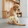 Breathable Washable Dog Diapers Cartoon Print Dog Menstruation Panties  Dogs in Heat