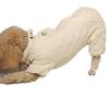 It's So Warm To Go Out with a Belly Pack 2025, Universal Dog Clothes for Autumn and Winter, Pet Teddy Bear with a Leash Buckle.