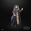 Star Wars Black Series Luminara Unduli Attack of the Clones 6-inch Premium Collectible Action Figure