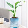 Lightweight Automatic Hydrating Sustaining Plant Container Planter Flower Pot With Vibrant Color Option for Indoor Plant
