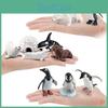 Penguin Deer Polar Bear Sea Life Pvc Model Collection With Authentic Marine Animal Figures For Educational Use