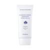 Bellflower - Blueberry Perfect Sunscreen