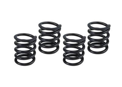 Kitaco 307-1013600 Reinforced Clutch Spring Set, Monkey Engine