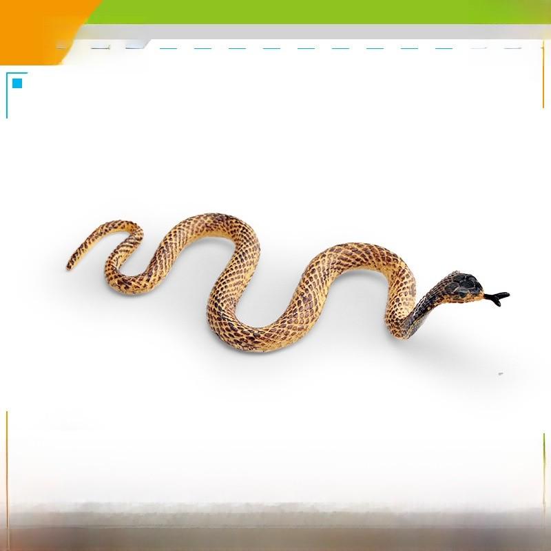 Pvc Reptile Models Wild Animal Decor For Kids Learning And Home Display