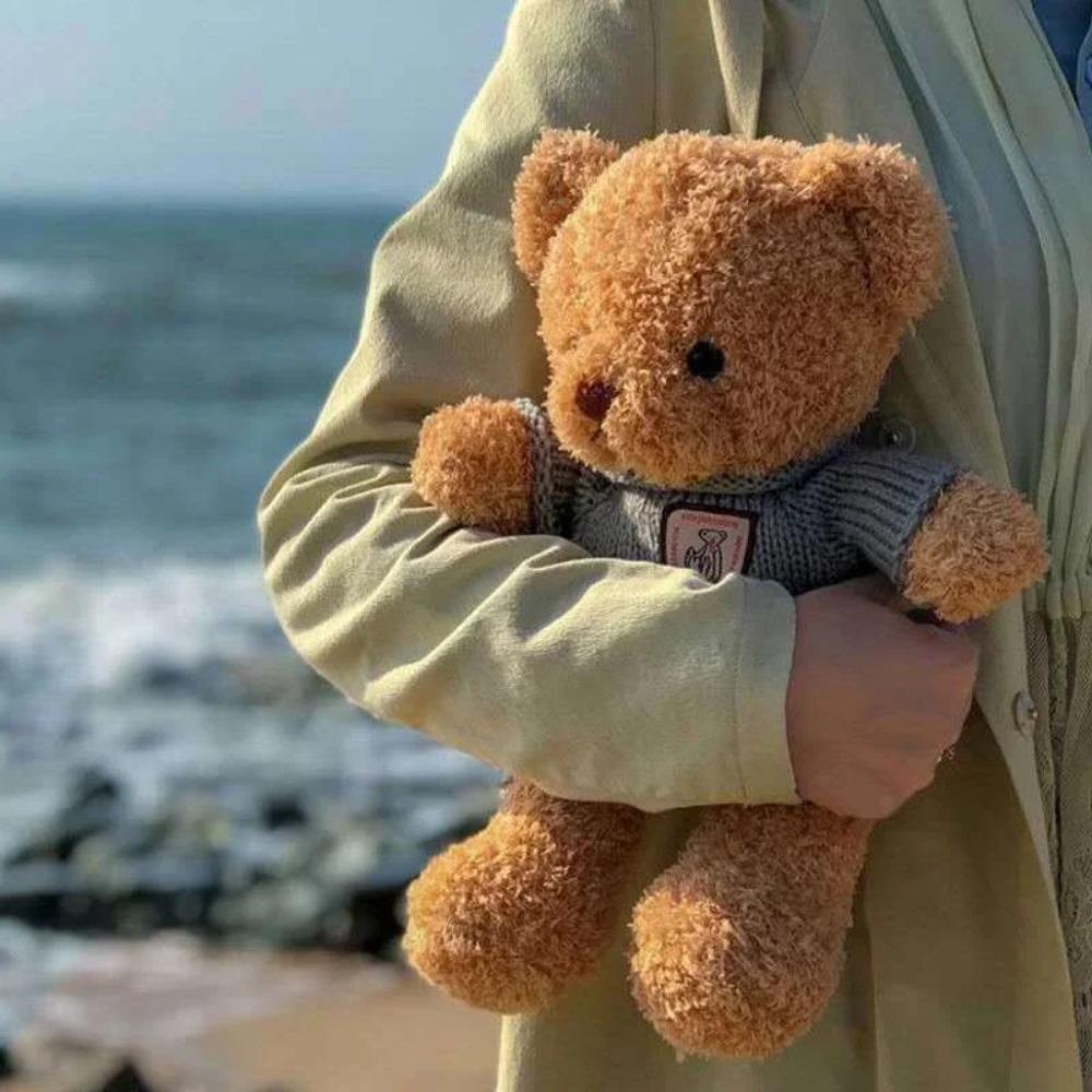 Cute Bear Simulation Stuffed Toys Lena Bear Plush Toy Pillow Birthday Gift Express Love Bear Love Bear