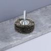 50mm Industrial Stainless Steel Wire Wheel 20mm Thick Paint Stripping Brush Tool for Metal Surfaces and DIY Projects