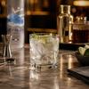 Square Glass Tumbler with Embossed Flying Swan and Mountain Design 30th Anniversary Edition Whiskey Water Juice Glass Cup