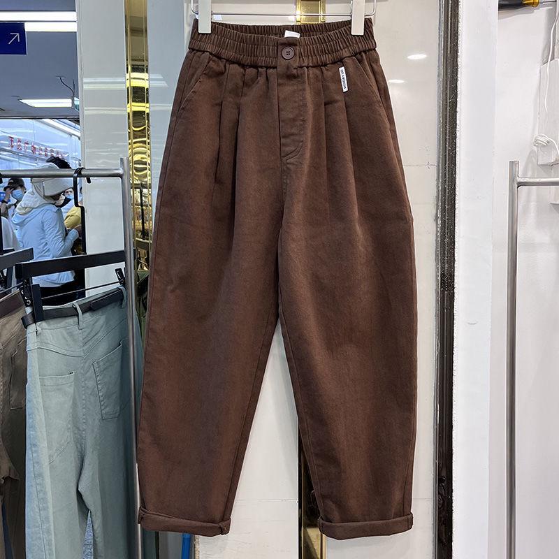 Pantaloni Harem de Damă Stil Coreean Căptușiți cu Fleece - Toamnă/Iarnă, Versatili, la Modă, Largi, Subțiază, Pantaloni Lungi Casual Îngroșați.