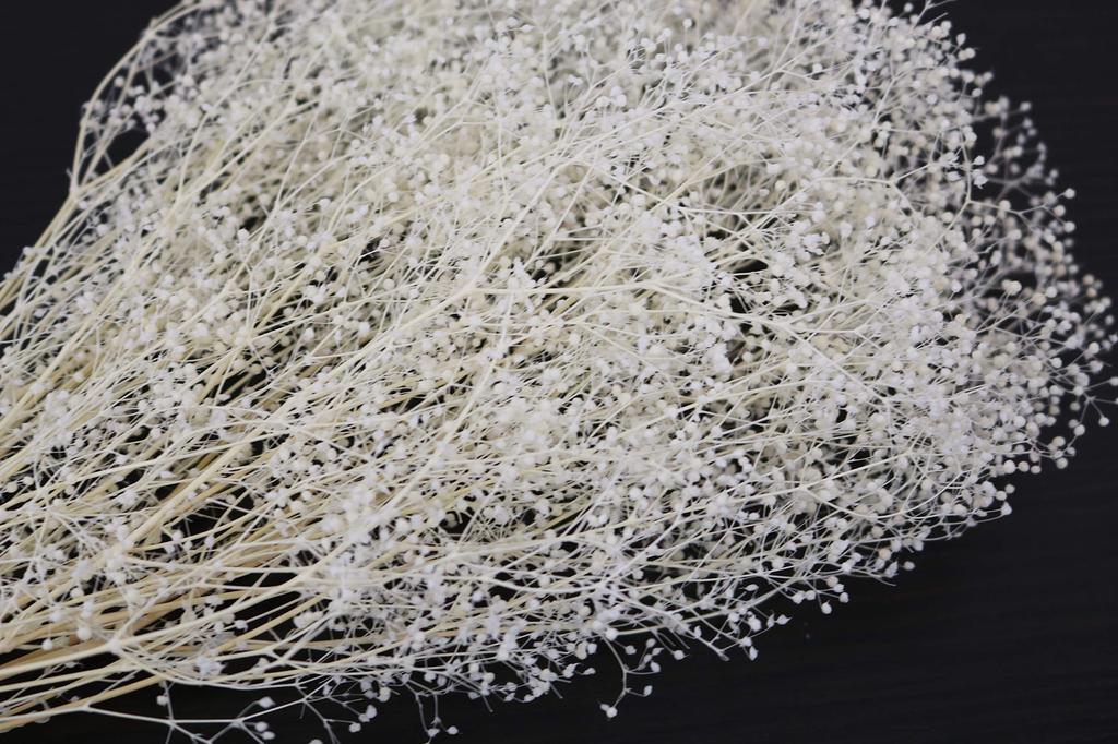 Takeda Large Length 350mm Baby's Breath, White, Bundle, Approx. [40-0312]