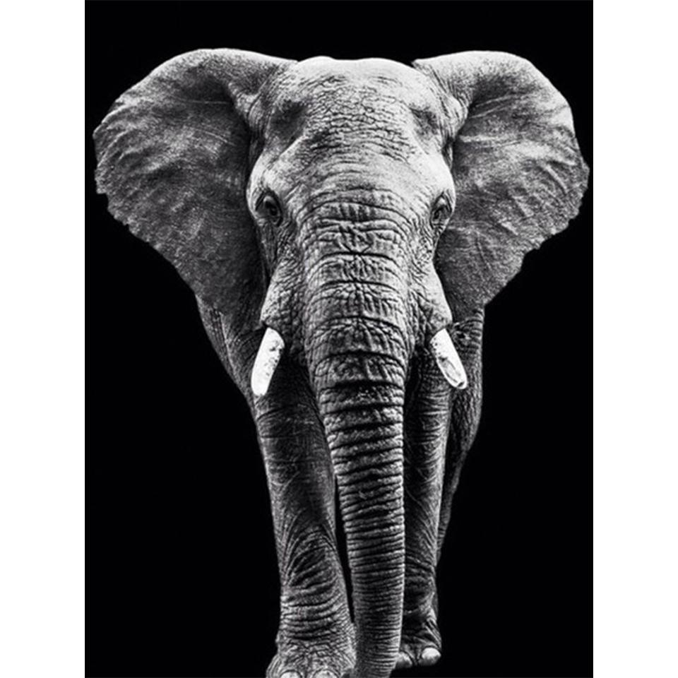 5D Round Diamond Painting "animal" Lion Tiger Diamond Embroidery Cross Stitch Kit Rhinestone Mosaic Picture DIY Decoration Gift