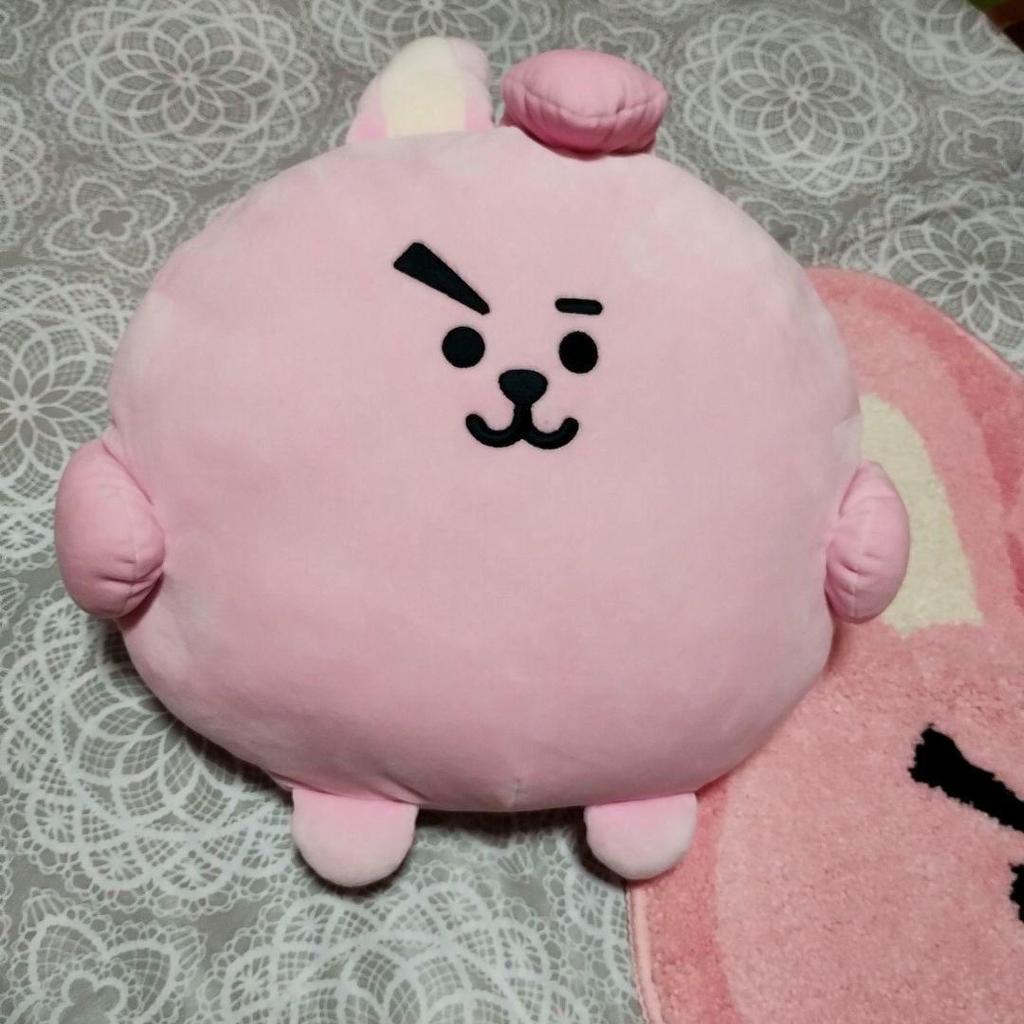 Used BTS BT21 Cushion & Mat