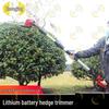 Zhongjing Telescopic Hedge Trimmer & Pole Saw Multi-tool Set