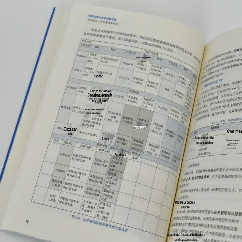 Data Governance & Comprehensive Budget Management Book