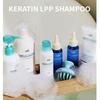 [Lador] Korean Salon Secret Hydro LPP Treatment (530ml) - [K-BEAUTY] Silicone-Free Glass Hair Mask conditioner