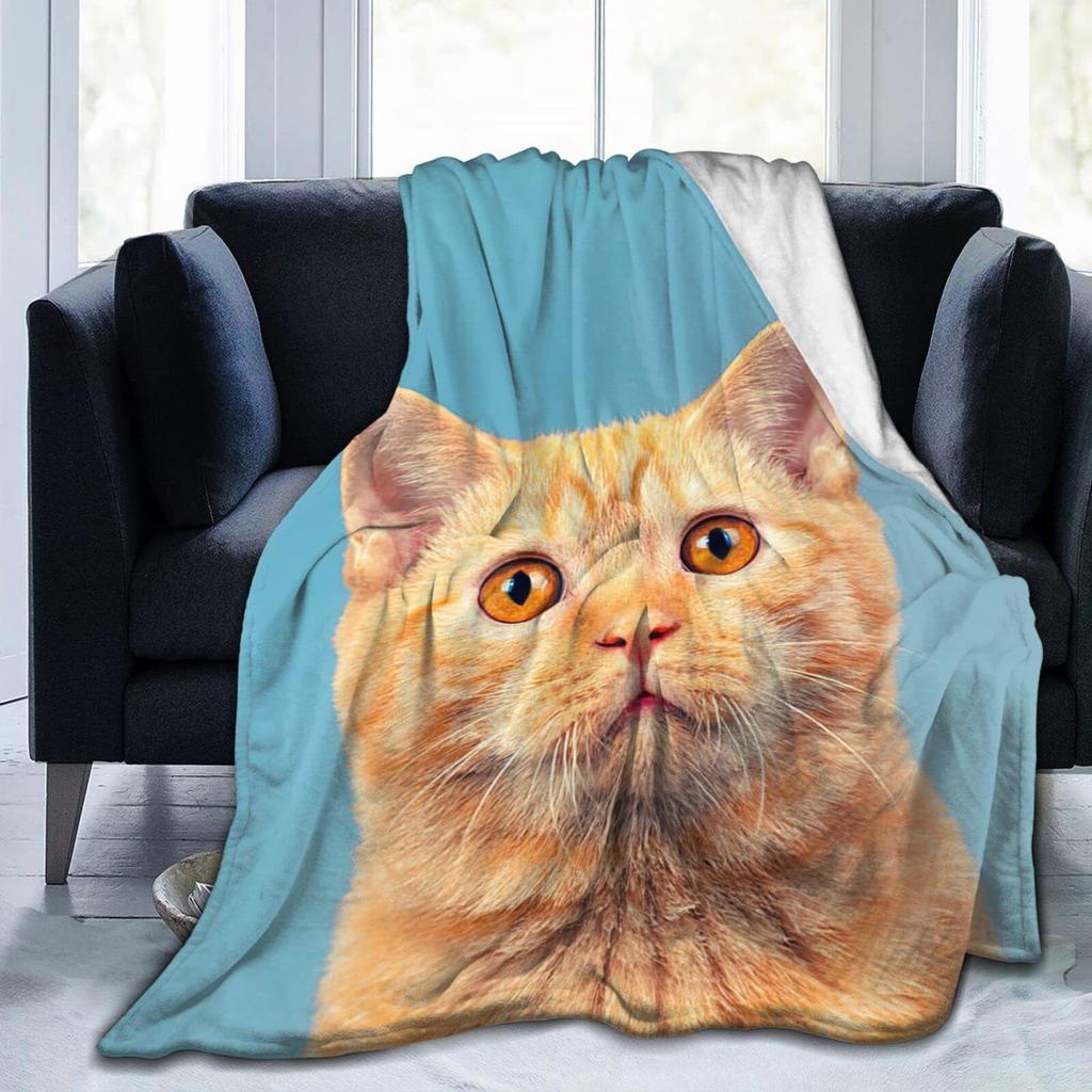 Cute Cat Series Printed Blanket for Sofa Bed Travel Camping Living Room Office Conditioning Blanket for All Seasons Gifts