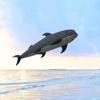 Weifang 10m Shark Kite Pendant - Soft Inflatable Kite.