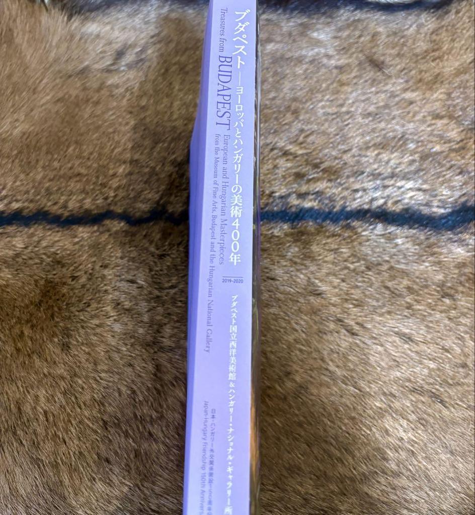 [USED] Treasures from BUDAPEST Art Book