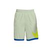 Basketball Shorts Men's Green DH6764-017