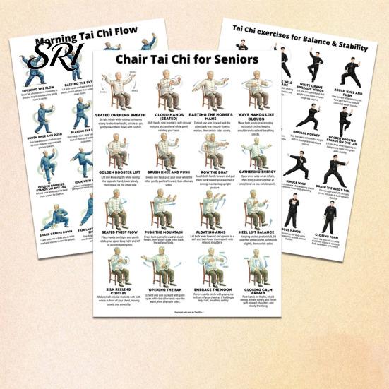 Gentle Chair Workout Routine 3Pcs Tai Chi Posters Seated Canvas Fitness Poster Illustrations Exercise Instructions for Beginners Seniors Senior