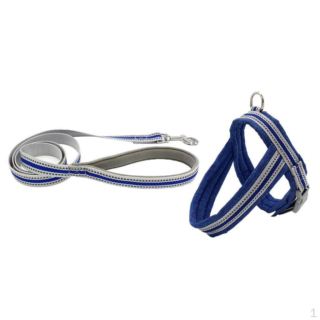 Pet Harness Set Walking Leash For Small cat and dog