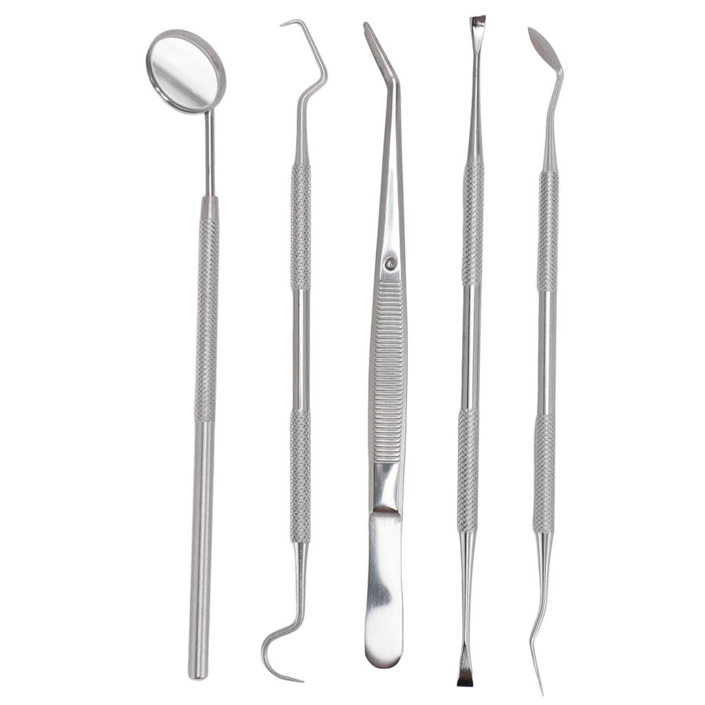 5pcs Dental Tools Pick Hygiene Set Plaque Remover Stainless Steel Tooth Scraper Teeth Cleaning