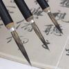 3Pcs Chinese Calligraphy Brush Sumi Drawing Brushes for Beginner Chinese Calligraphy Practice Inks Painting Sketching