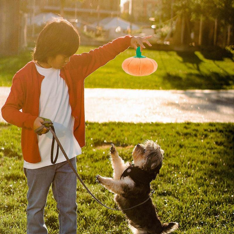 Sound Toy for Dogs Training Pumpkin Plush Toys for Pet Playing with