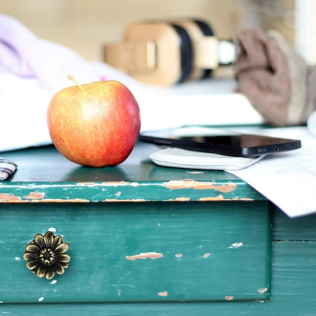 Bronzed Cabinet Knobs Vintage Dresser Drawer Knobs Daisy Floral Drawer Pulls for Furniture Decor Antique Closet Handle Pull