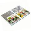 Set of Two Glass Kitchen Boards Colorful Spices 2x40x52 Cm
